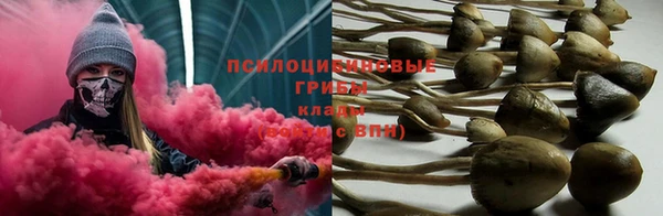 СК Михайлов