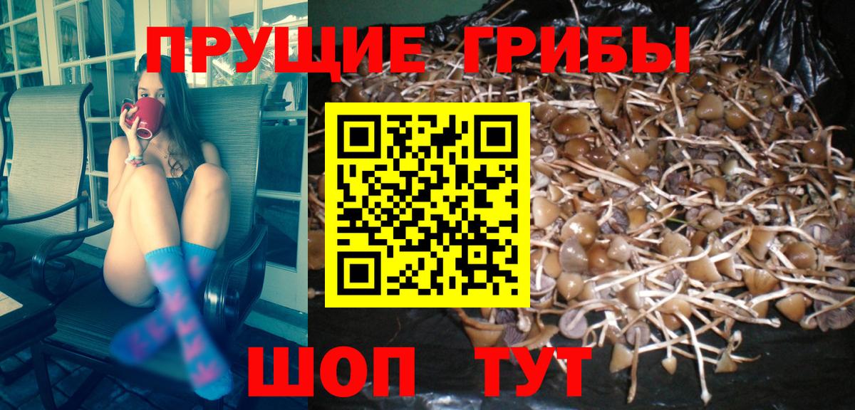 сколько стоит  Каменск-Уральский  Галлюциногенные грибы ЛСД 