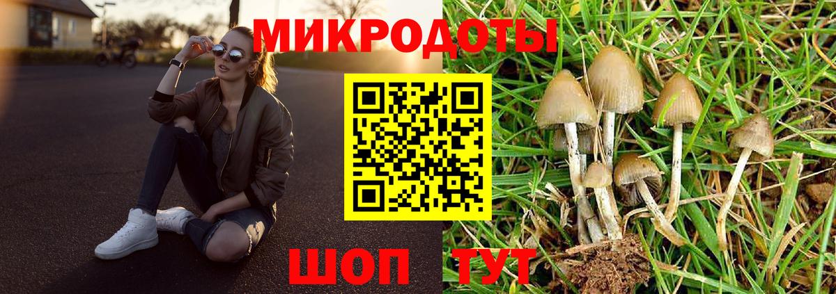 Псилоцибиновые грибы прущие грибы Каменск-Уральский